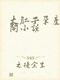 大肚子孕产笔趣阁小说