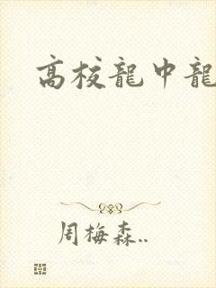 高校龙中龙
