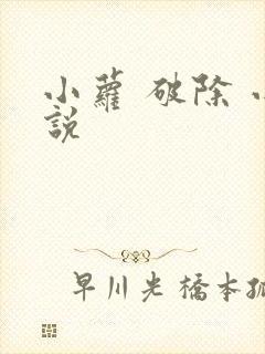 小萝 破除 小说