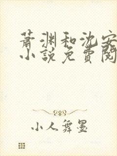 萧渊和沈安安的小说免费阅读