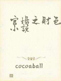 官场之财色诱人小说