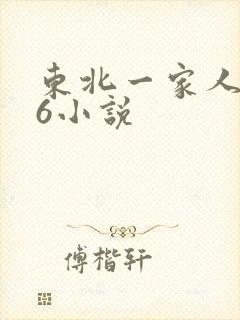 东北一家人1一6小说