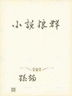小说狼群