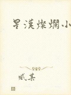 星汉灿烂小说
