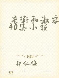 老卫和淑容1-40集小说