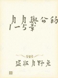月月与公的激情1一5章