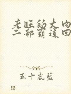 老旺的大肉蟒第二部霸道回归小说