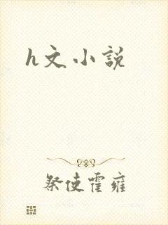 h文小说