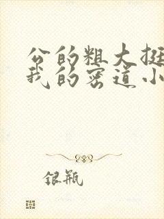 公的粗大挺进了我的密道小说