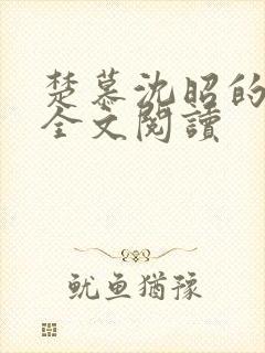 楚慕沈昭的小说全文阅读