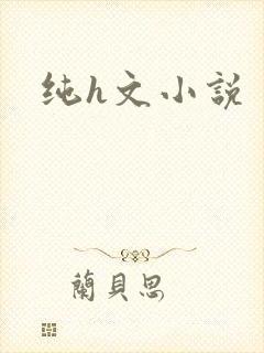 纯h文小说