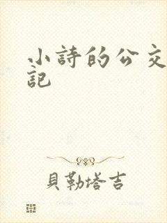 小诗的公交车日记