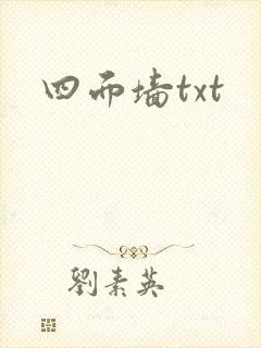 四面墙txt
