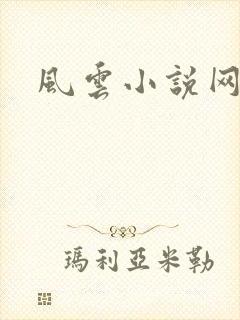 风云小说网