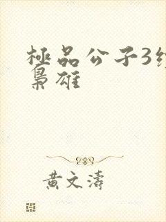 极品公子3续世枭雄