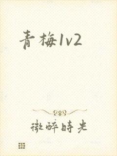 青梅1v2