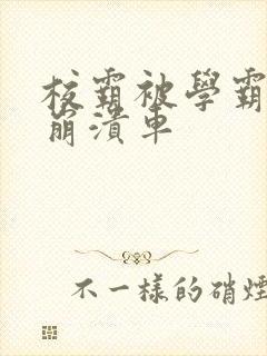 校霸被学霸玩到崩溃车