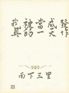 我被当成发泄玩具的一天作文