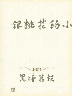 银桃花的小说