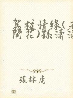 驾校情缘(老树开花)孙潇潇笔趣阁