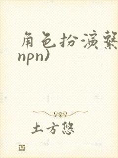 角色扮演系统(npn)