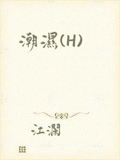 潮湿(H)