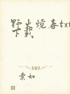 野火烧春txt下载