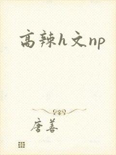 高辣h文np