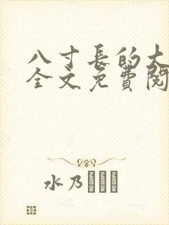 八寸长的大宝贝全文免费阅读