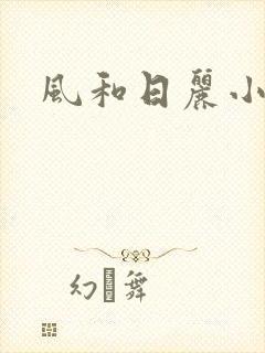 风和日丽小说