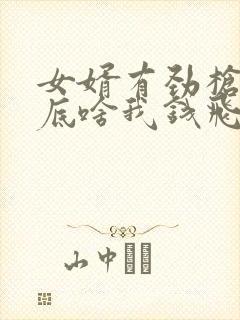 女婿有劲枪枪到底啥我钱飞了