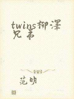 twins柳泽兄弟