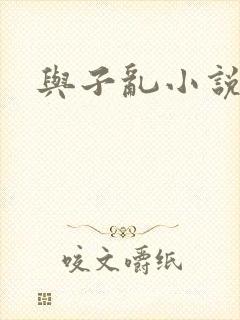 与子乱小说