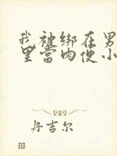 我被绑在男公厕里当肉便小说