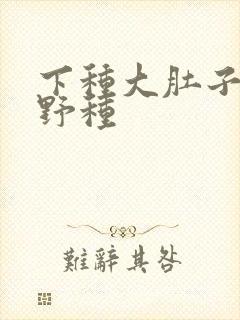 下种大肚子怀孕野种