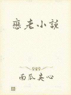恋老小说