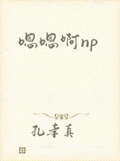 嗯嗯啊np