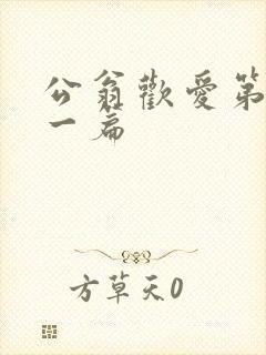 公翁欢爱第三十一篇