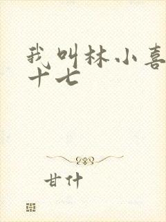 我叫林小喜今年十七