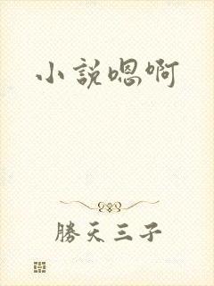 小说嗯啊