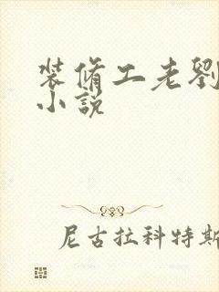 装修工老刘林雪小说