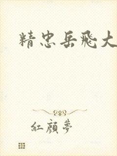 精忠岳飞大结局