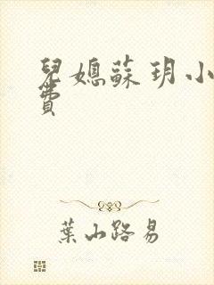 儿媳苏玥小说免费