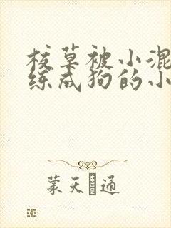 校草被小混混训练成狗的小说