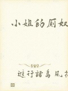 小姐的厕奴