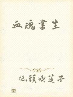 血魂书生