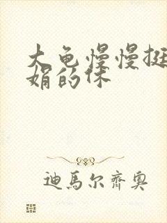 大龟慢慢挺进张娟的休