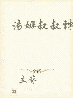 汤姆叔叔转接口