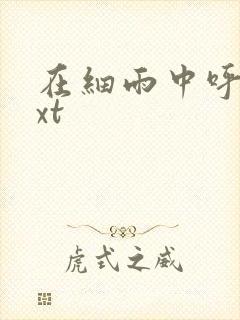 在细雨中呼喊txt