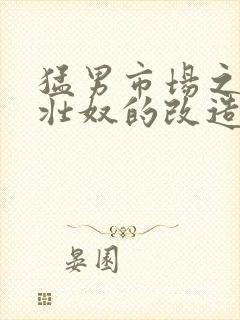 猛男市场之肌肉壮奴的改造